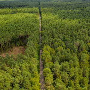 Rezerwat Świnia Góra