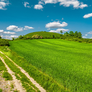 Szlakiem czerwonym z Buska-Zdroju przez rez. Owczary i Górę Kapturową
