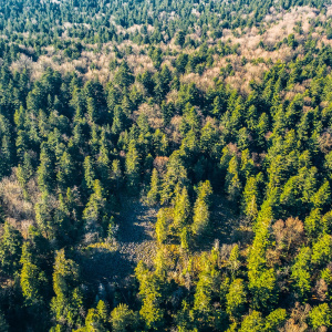 Piesza wyprawa w Góry Świętokrzyskie