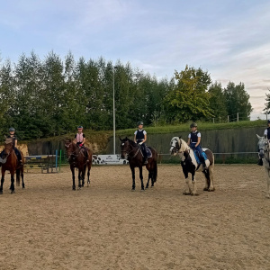 Collina Jeździectwo i behawiorystyka zwierząt