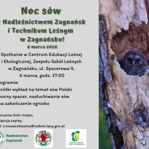 Noc Sów z Nadleśnictwem Zagnańsk i Technikum Leśniczym w Zagnańsku