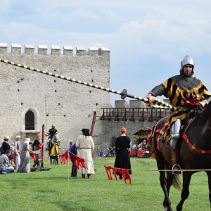 Turniej rycerski o Złote Ostrogi Jagiellonów w Szydłowie
