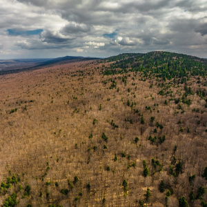 Ponowne otwarcie ścieżek edukacyjnych w Świętokrzyskim Parku Narodowym