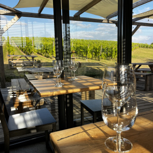 Bistro w Winnicy Terra