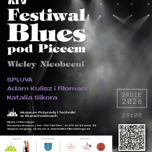 14. Festiwal Blues pod Piecem