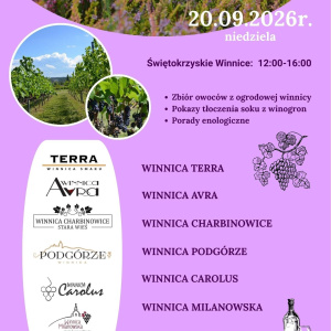Winobranie w Ogrodzie Botanicznym w Kielcach
