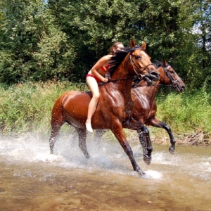 LUBELSKIE – SMAKUJ ŻYCIE! Region partnerski targów AGROTRAVEL 2013
