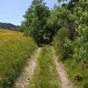 II Imieninowy Rajd Śladami Żeromskiego