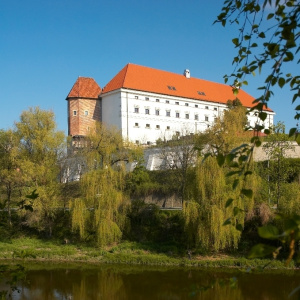 Uroczystości Błogosławionego Wincentego Kadłubka