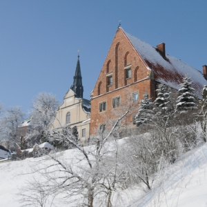 Wystawa rycin w Muzeum Diecezjalnym w Sandomierzu