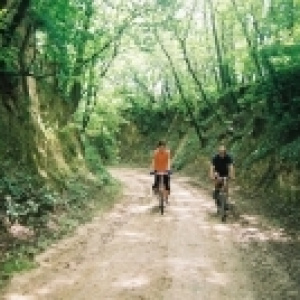 Cycling tours