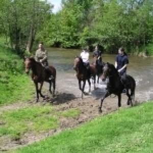 Horse riding
