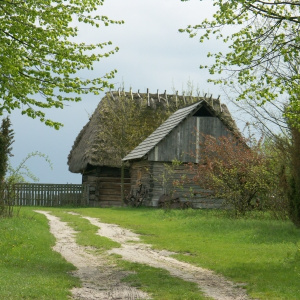 Farm tourism