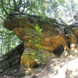 Skałki Piekło pod Niekłaniem