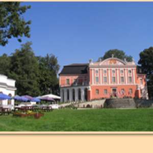 Pałac w Kurozwękach