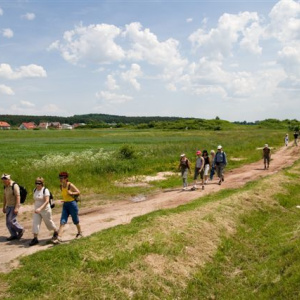 Grzbietem Wzgórz Tumlińskich