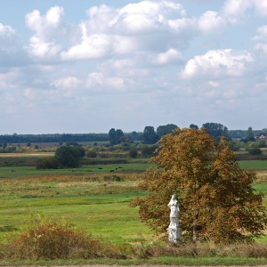 The Sieradowicki Landscape Park – Witness of History