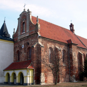 Markowa fasola świętokrzyska
