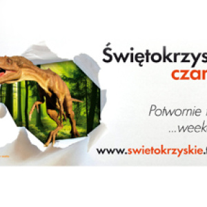 Świętokrzyskie znów czaruje billboardami