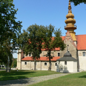 Zisterzienserpicknick „Im Schatten des Zisterzienser-Apfelbaums“