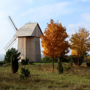 Die Schmacken von Herbst