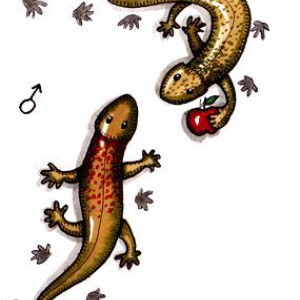 Góry Świętokrzyskie kryją najstarsze na świecie ślady dinozaurów!