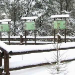 Winterwanderung: um Końskieregion herum