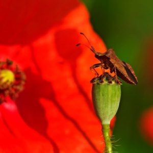 „Cztery pory roku” – konkurs fotograficzny PIK