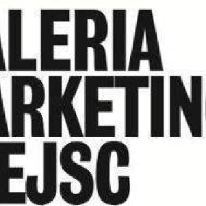 Galeria Marketingu Miejsc