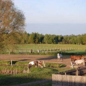 Gospodarstwo agroturystyczne U CYPISA