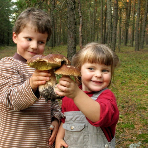 Pamiętniki agroturystyki – konkurs