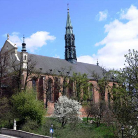 Zaskakujące znalezisko w sandomierskiej katedrze