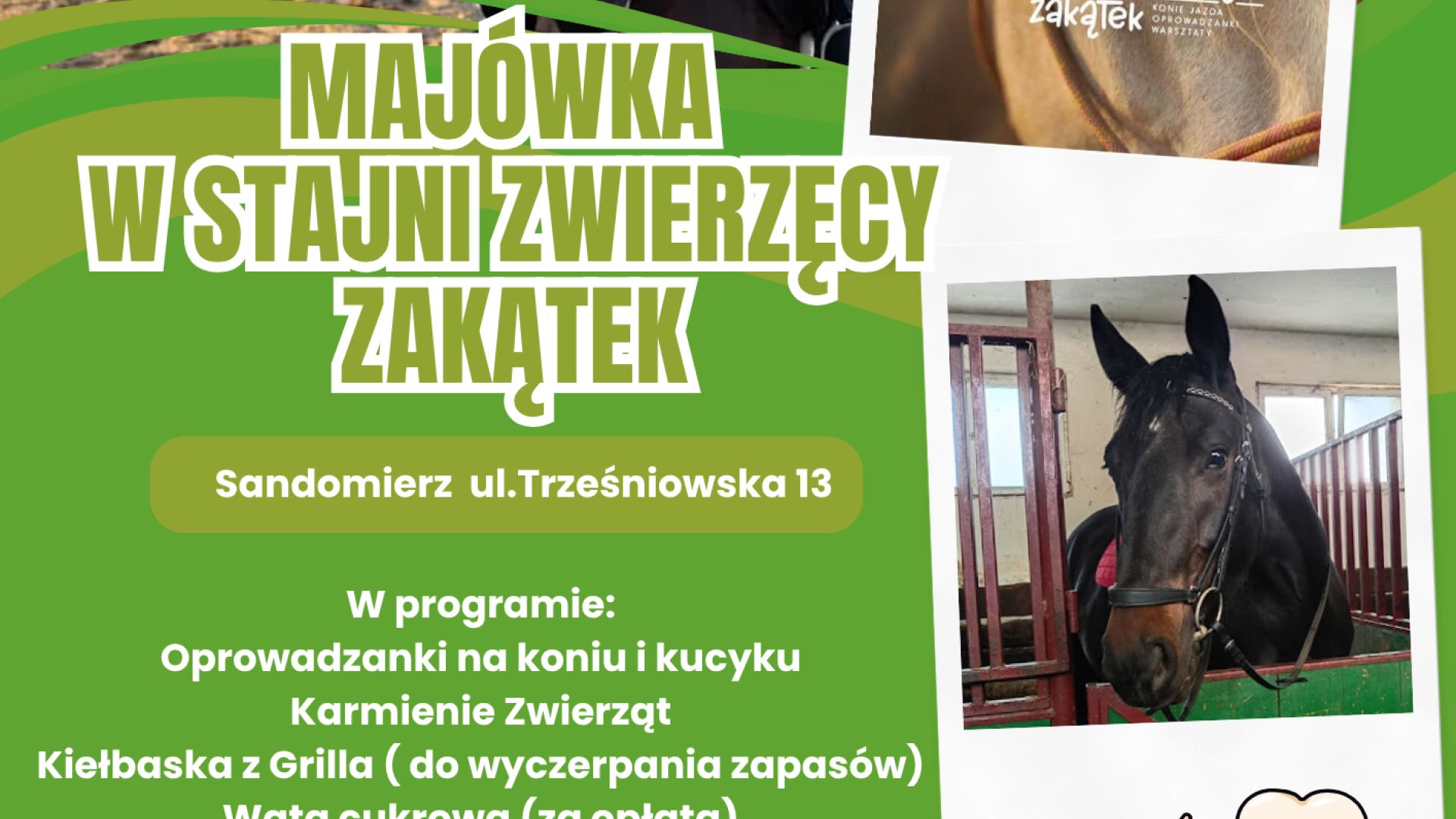 Majówka w Stajni Zwierzęcy Zakątek w Sandomierzu