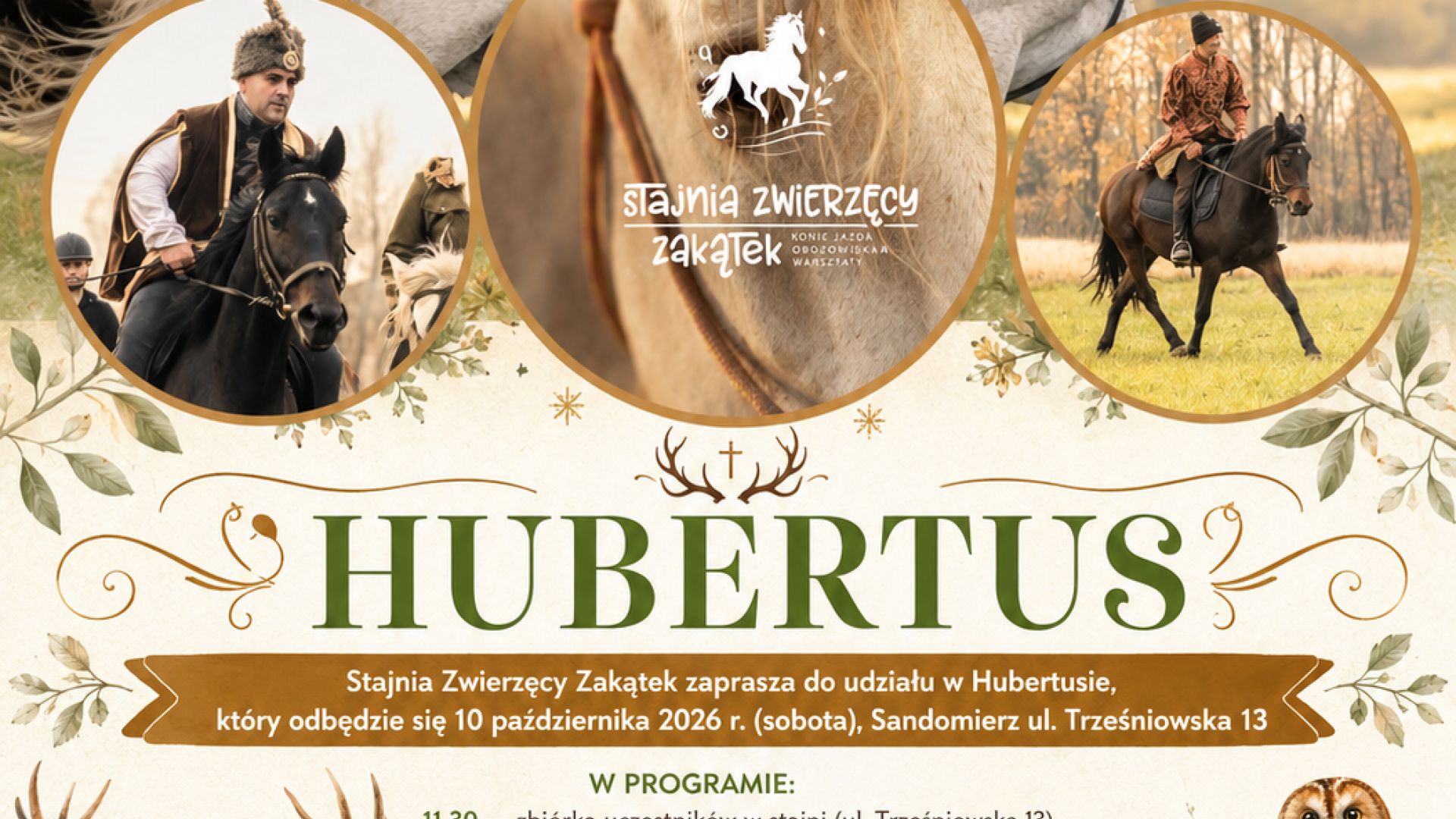 Hubertus w Stajni Zwierzęcy Zakątek w Sandomierzu