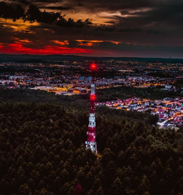 „Wokół Pierścienicy i Telegrafu” - Lasy Zgórskie