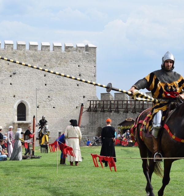 Turniej rycerski o Złote Ostrogi Jagiellonów w Szydłowie