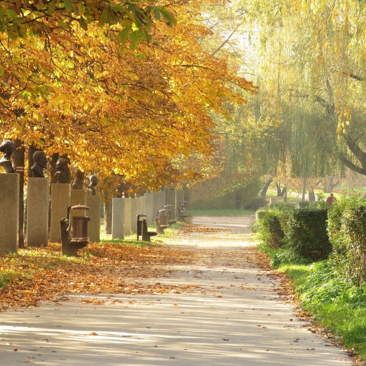 Aleja Sław w Kielcach