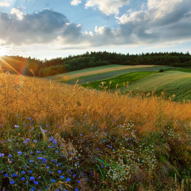 Sieradowicki Park Krajobrazowy