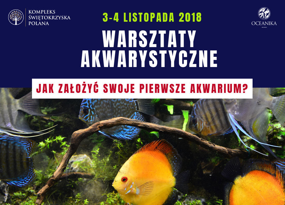 Warsztaty akwarystyczne - Świętokrzyska Polana